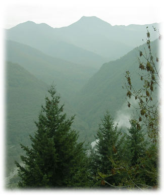 Val Guicciarda o dei Carbonieri: vallone che si apre sulla destra orografica, prima di Bobbio