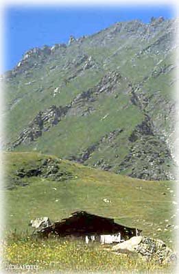 Alpe Crusenna ( � Idea Foto)