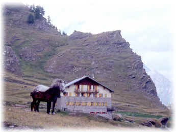 rifugio Willy Jerwis m. 1732 Loc. Conca del Pr