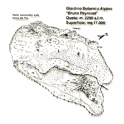 Giardino Botanico Alpino  (clik x zoom)